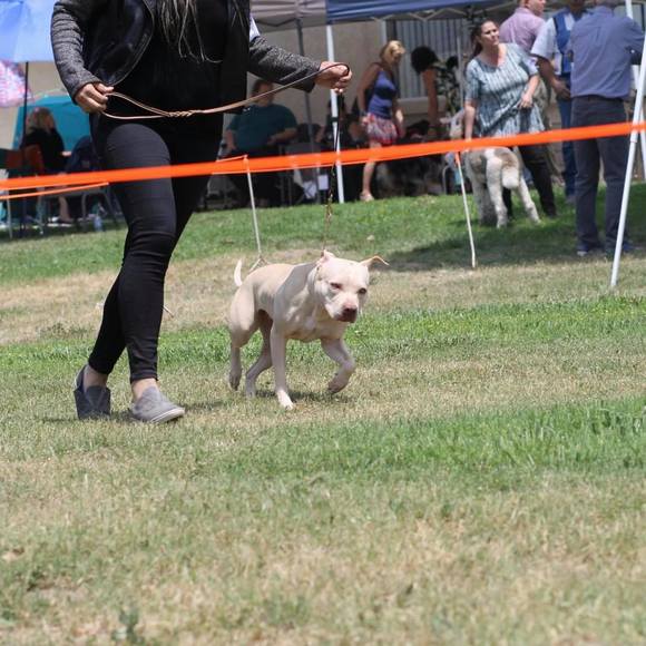 Meet your Posher, Alexandra - Picture 1 of 1